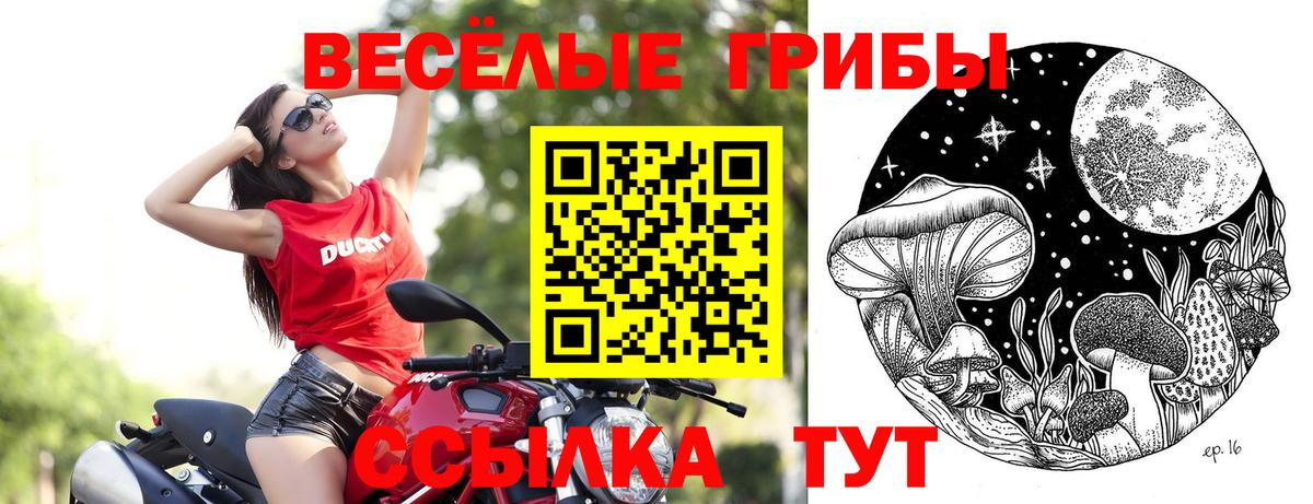 Псилоцибиновые грибы прущие грибы Магадан